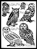 Peot Owls