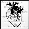 Gross Anatomy Listen to Your Heart Stencil